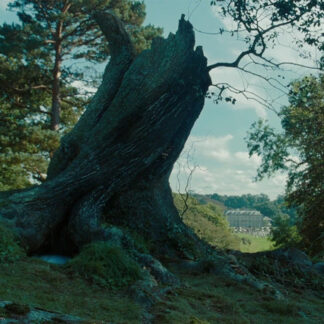 Film – Alice au pays des merveilles - 2010